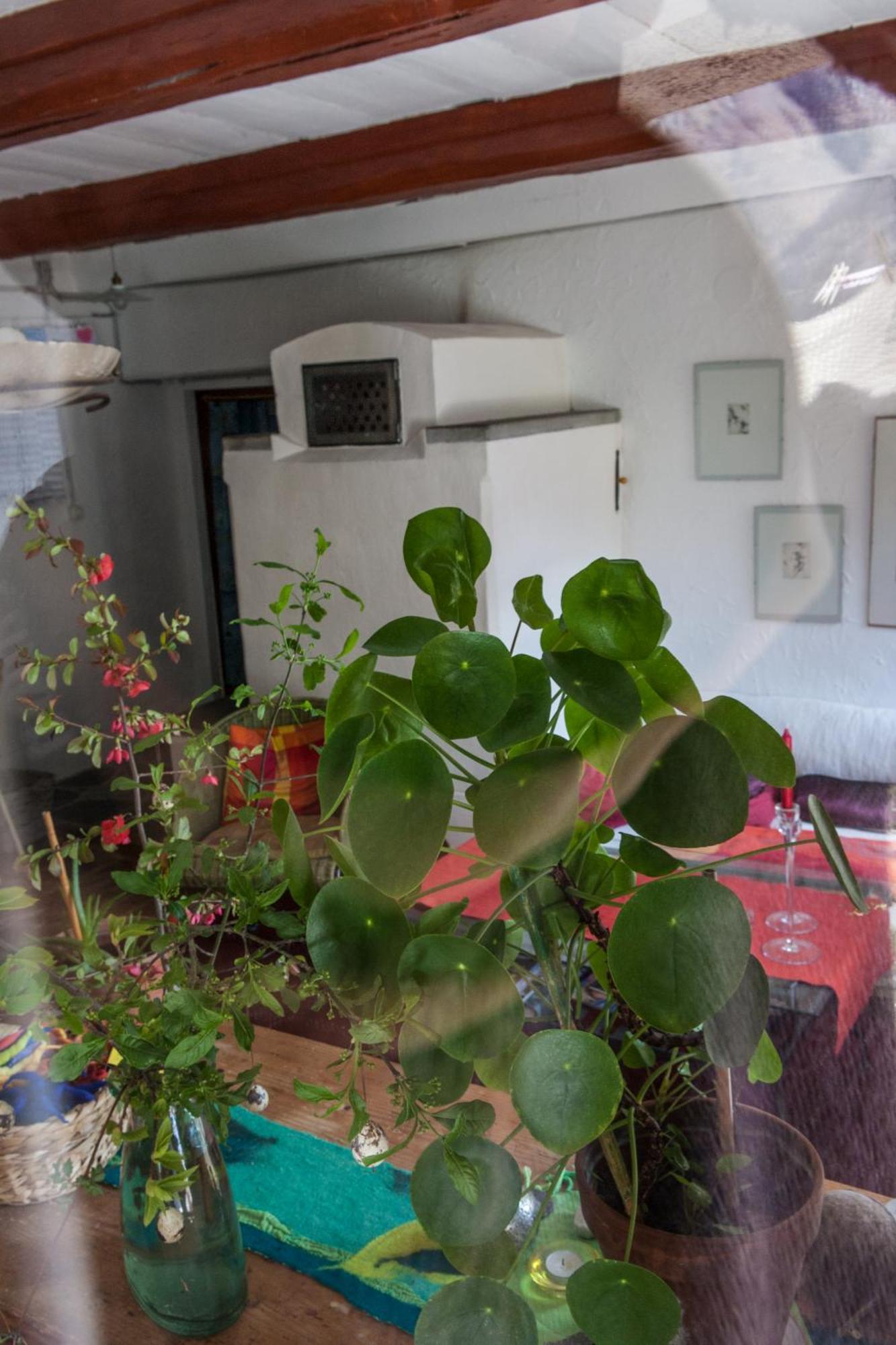 Bed And Breakfast Da Toldo Russo Buitenkant foto