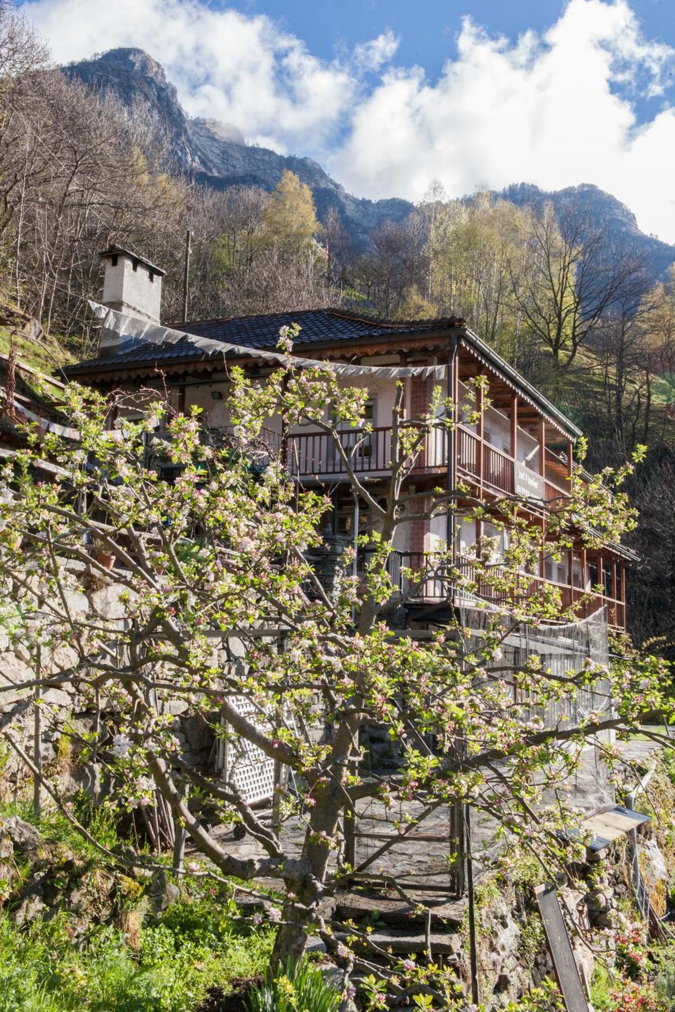 Bed And Breakfast Da Toldo Russo Buitenkant foto